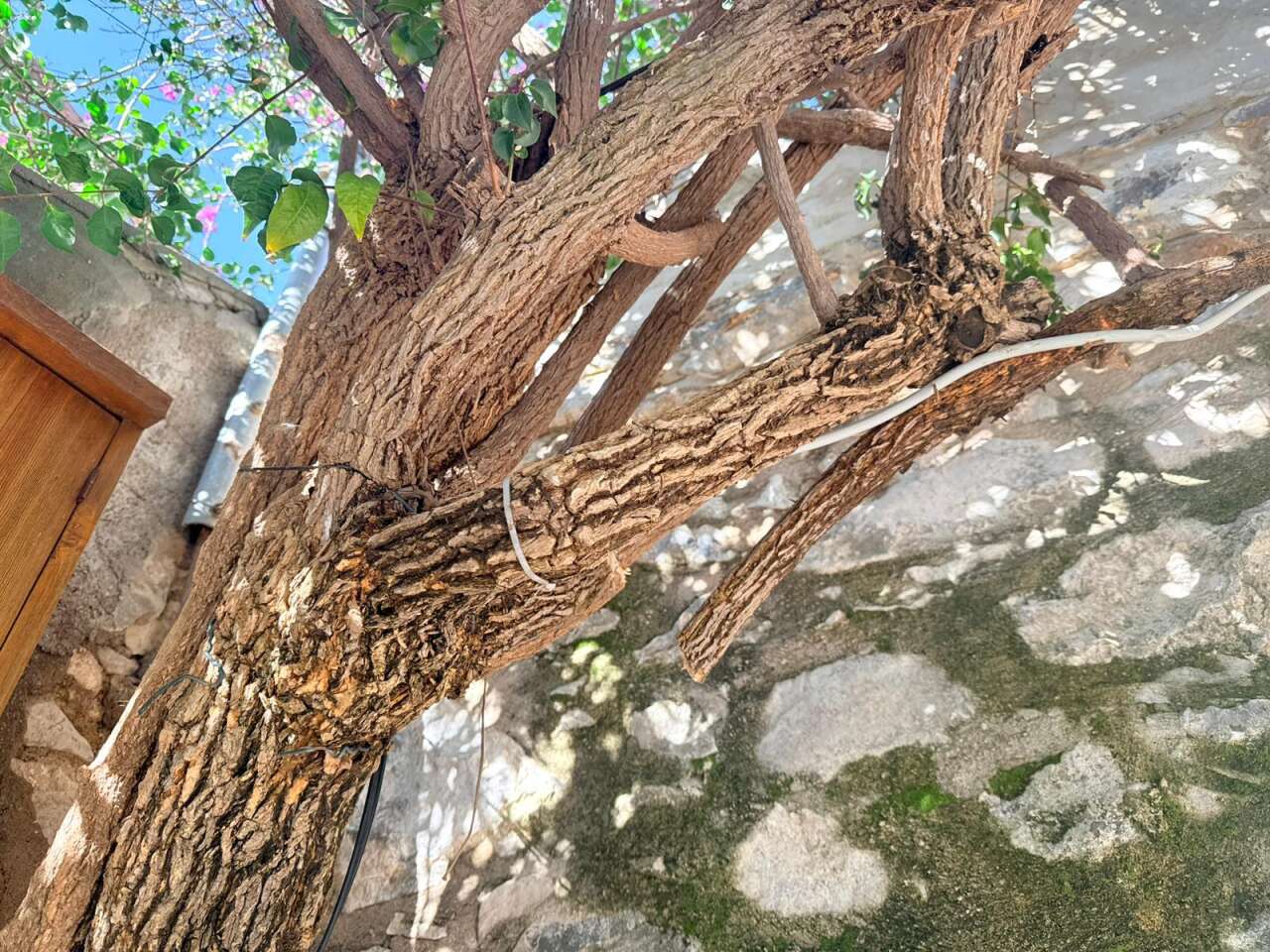 Eski Datça’nın Simgesine Balta Vuruldu! 1